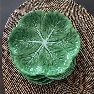 Lettuce Plates - Set of 4